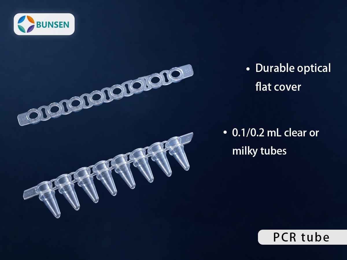 BUNSEN 荧光定量 PCR 管